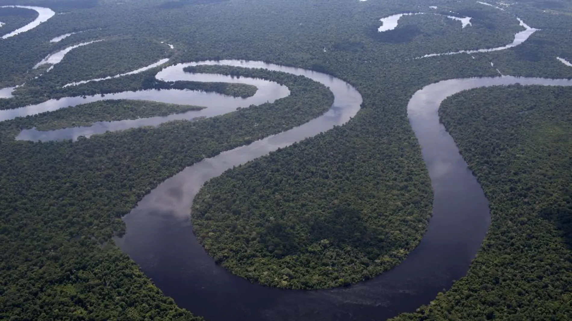 Vista aérea de la selva del Amazonas