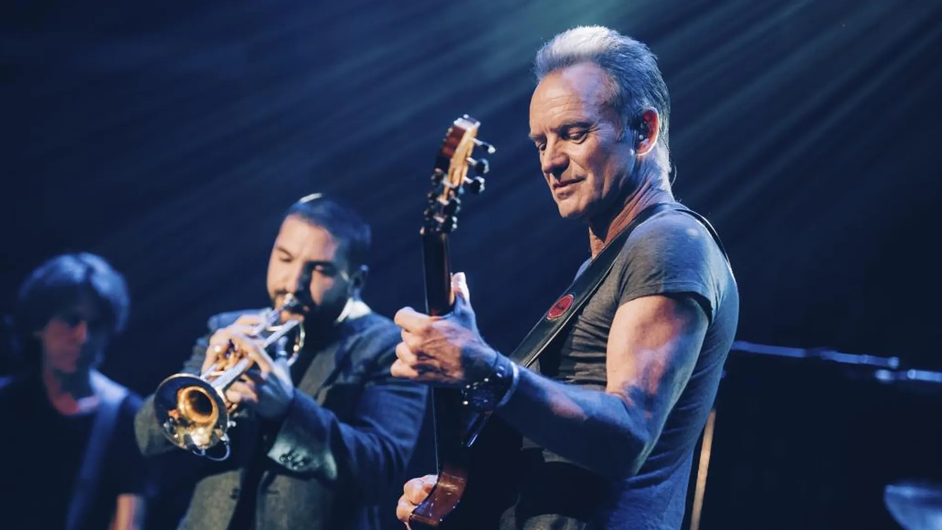 El cantante Sting 