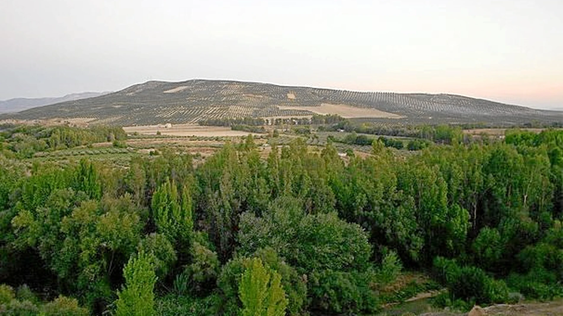 Vista del Cerro de las Albahacas, donde se han hallado tachuelas de sandalias romanas