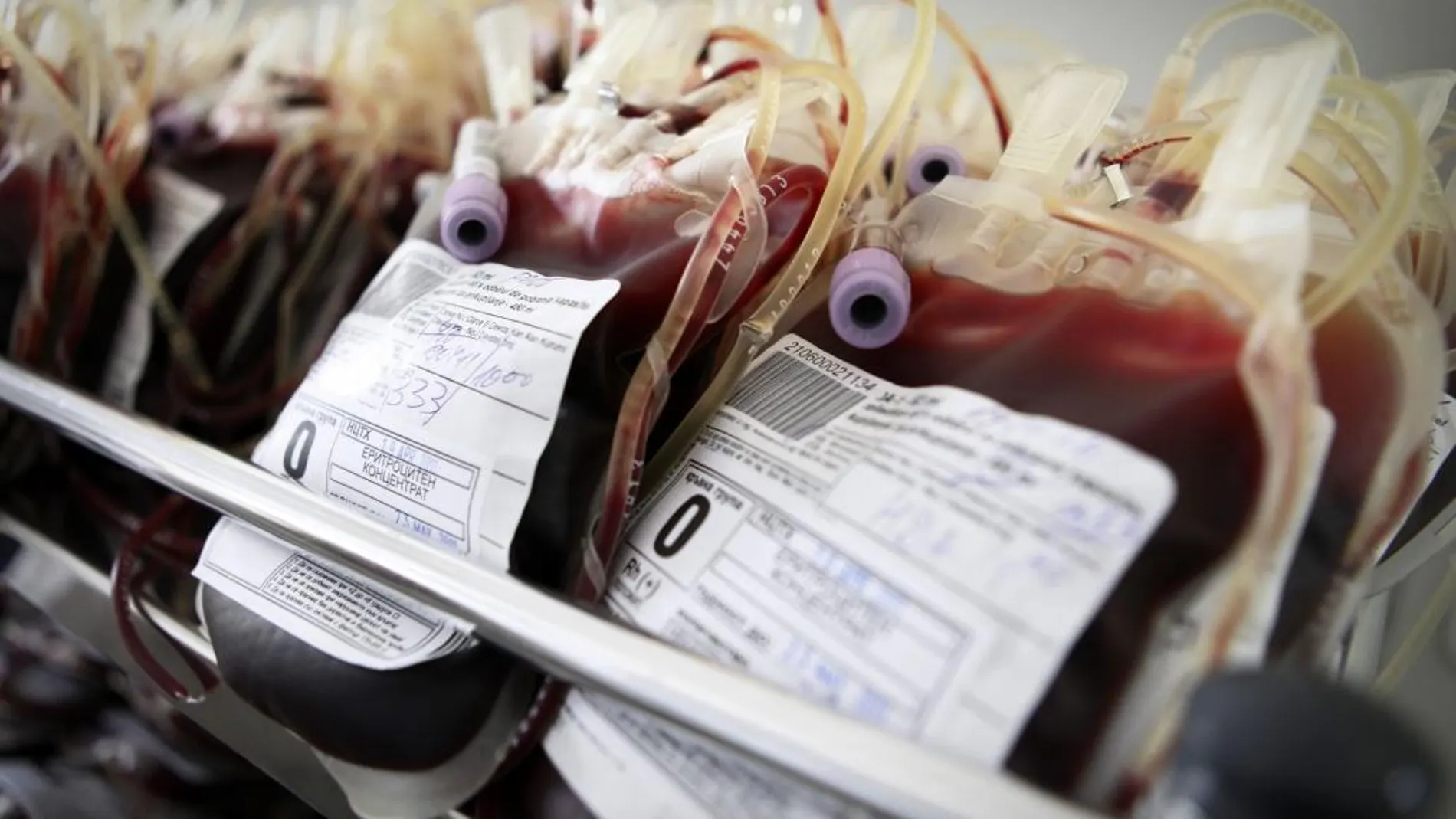 La sangre artificial permitirá salvar miles de vidas