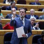 El presidente del Gobierno, Mariano Rajoy, interviene en la sesión de control al Ejecutivo, esta tarde en el pleno del Senado