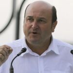El presidente del PNV, Andoni Ortuzar. Efe
