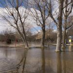 Las intensas lluvias de los últimos días desbordan el río Adaja a su paso por Ávila mientras una niña pasea por el parque de El Soto