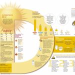 Vitamina D: del déficit a la sobremedicación