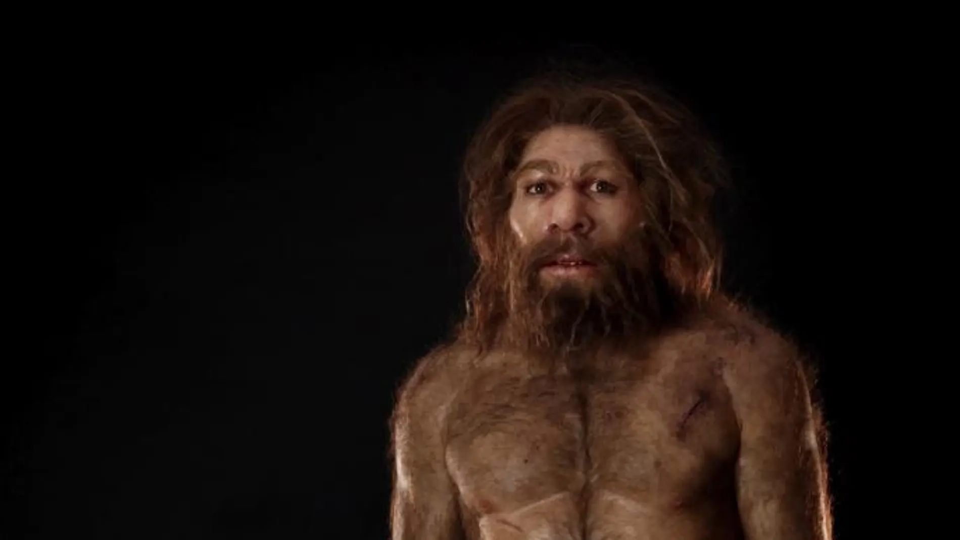 Reconstrucción del aspecto de un neandertal