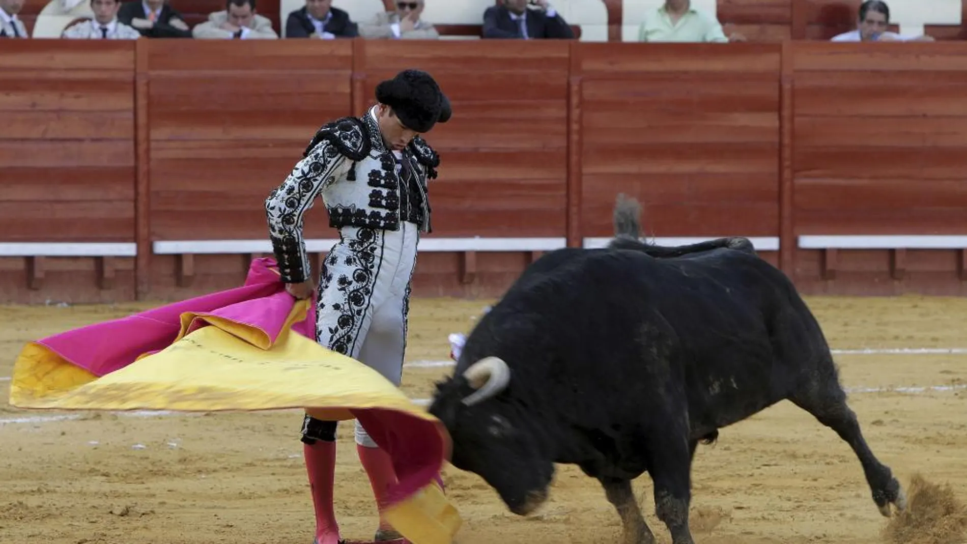 El torero alicantino, en imagen de archivo