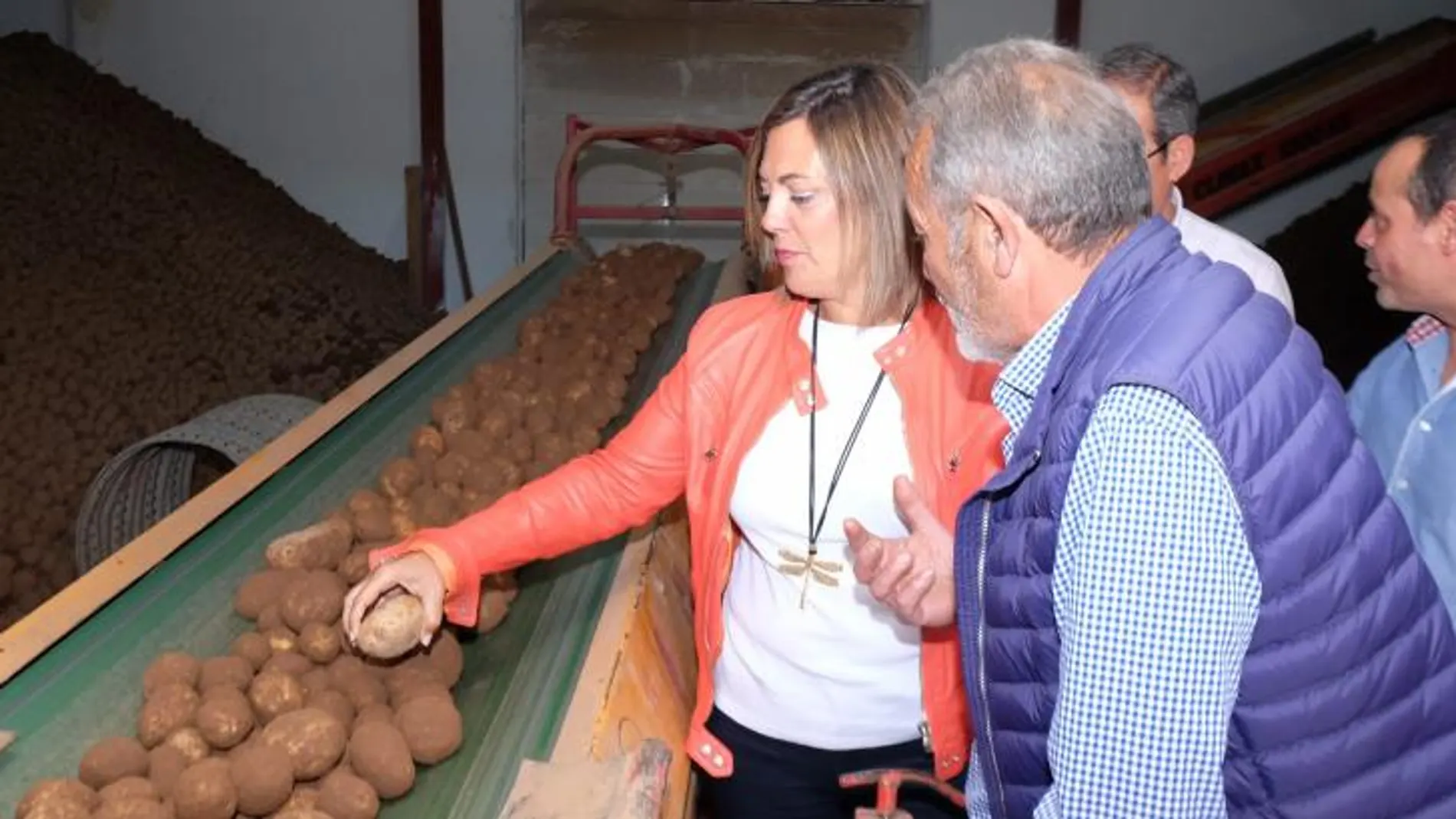 La consejera Milagros Marcos conversa con varios agricultores en Quintanilla del Agua en la presentación de la campaña de patata de este año