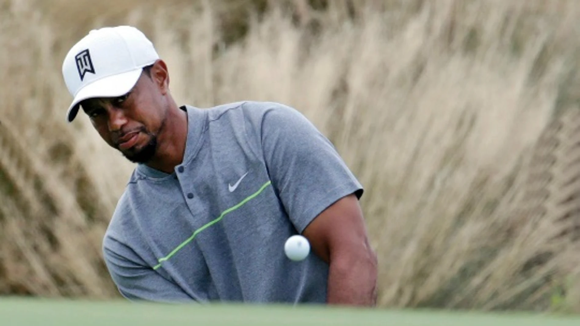 Tiger Woods