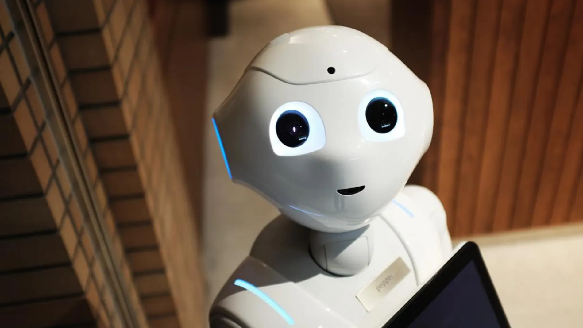 ¿Puede un robot sustituirte en el trabajo?