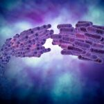 El nuevo tratamiento tiene la ventaja de que solo ataca a las bacterias «malas» / Dreamstime