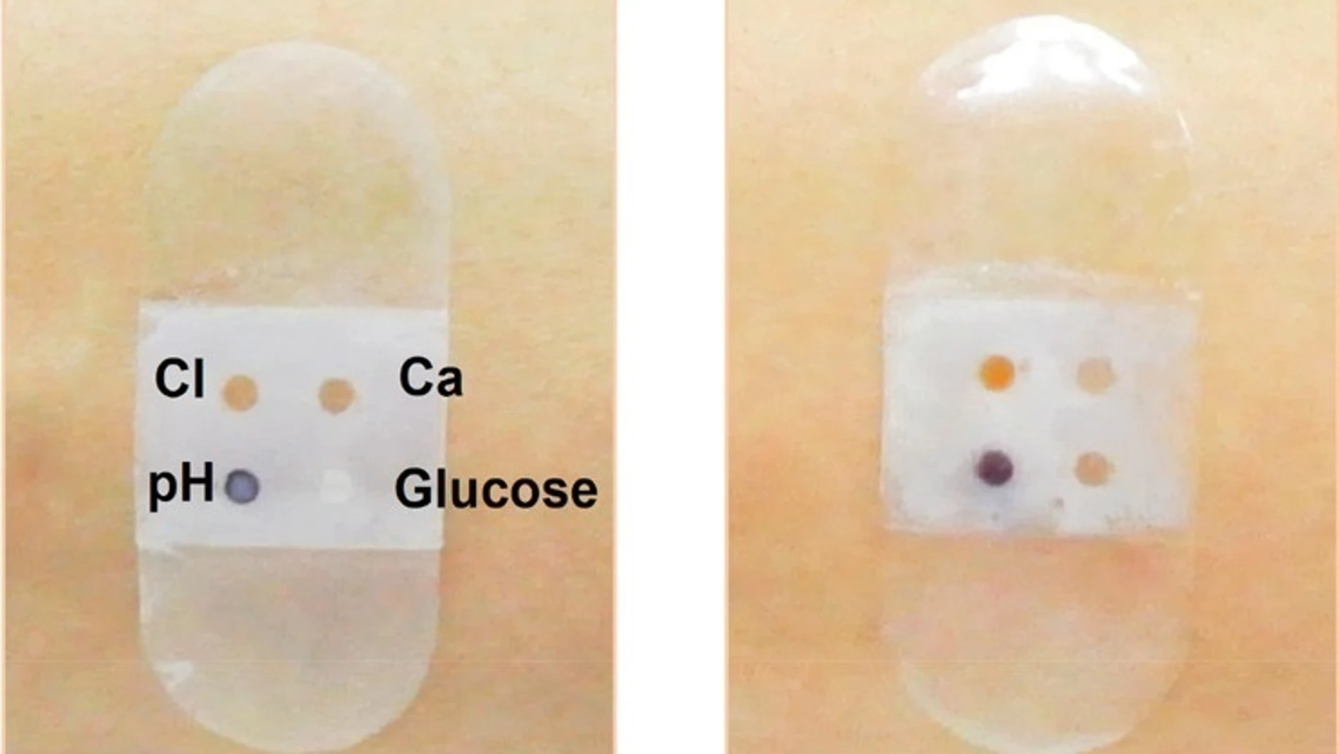 Biosensor vendaje antes (izquierda) y después (derecha) de la secreción de sudor / Foto: HANDOUT por SOCIEDAD QUÍMICA AMERICANA