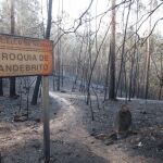 Las llamas pusieron en peligro varios municipios gallegos