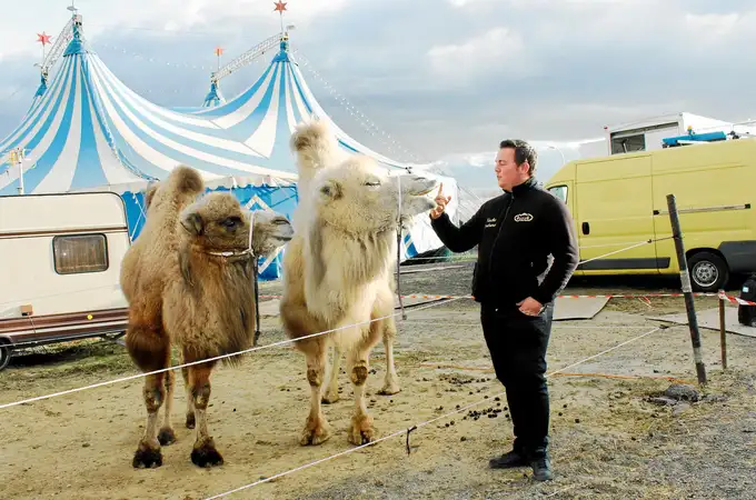 Un año para prohibir los circos con animales