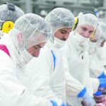 Empleados de Campofrío, en plena faena, en su fábrica de Burgos, en fechas anteriores al incendio de noviembre de 2014.
