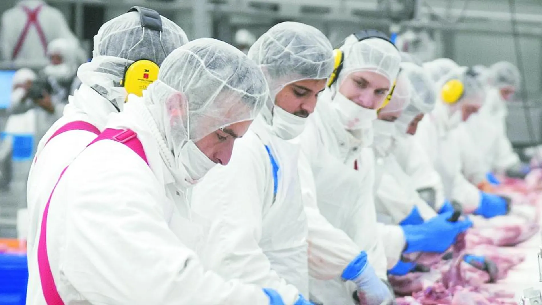 Empleados de Campofrío, en plena faena, en su fábrica de Burgos, en fechas anteriores al incendio de noviembre de 2014.