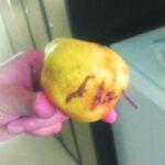 Fruta podrida de un menú