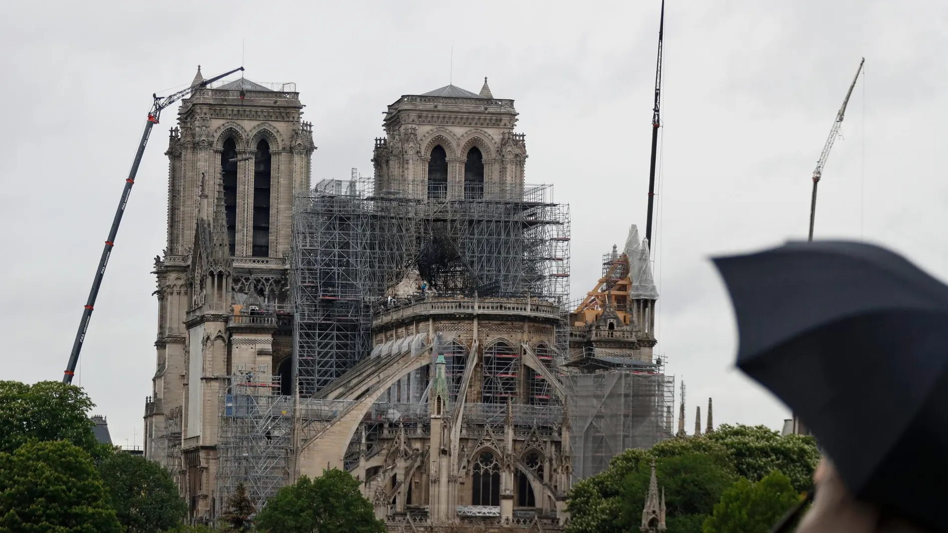 Catedral de Notre Dame tras el incendio