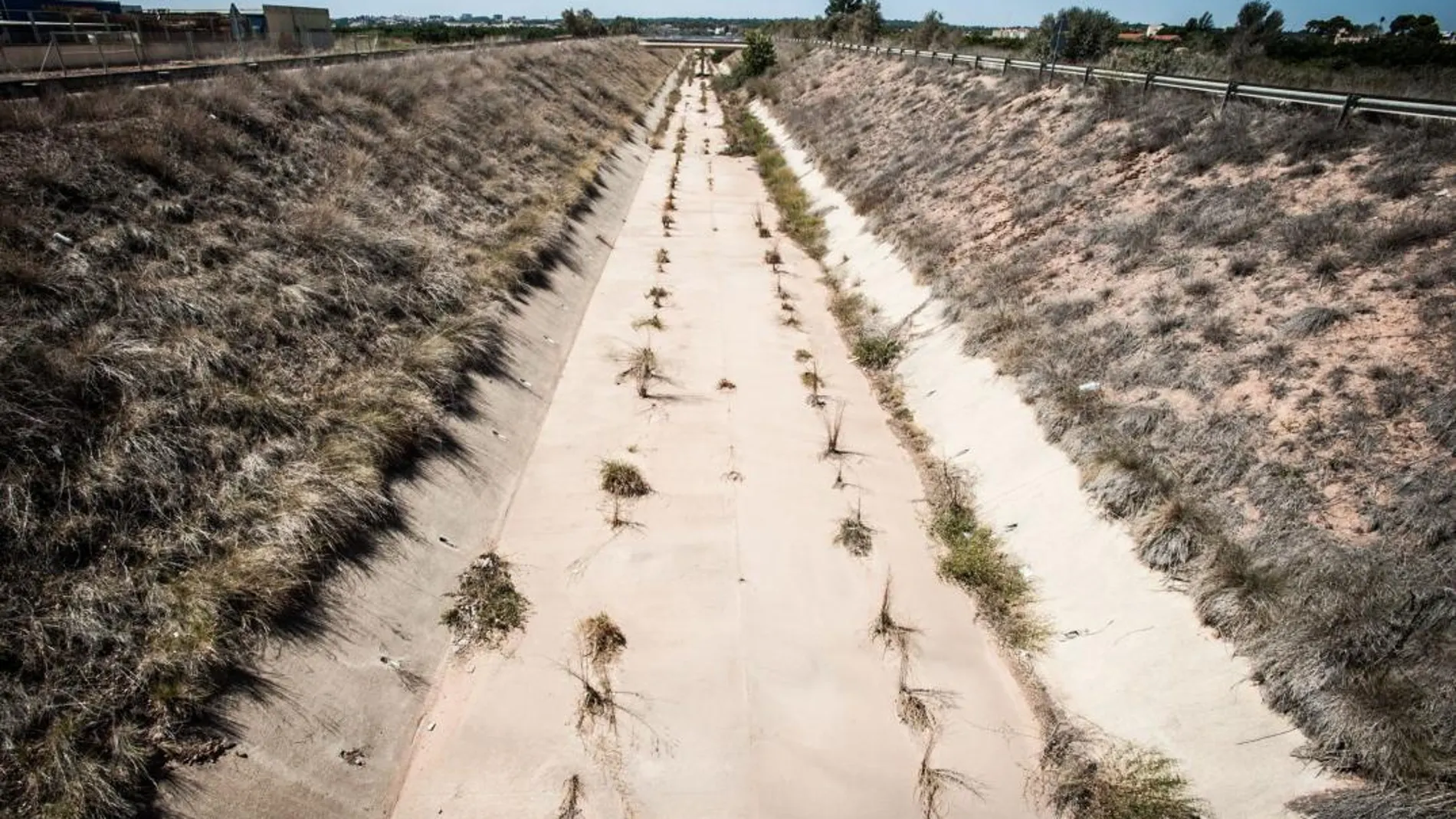 La sequía en el sur de Alicante se ha convertido en estructural