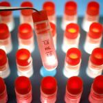Descubren un interruptor molecular clave para el estudio de las células madre