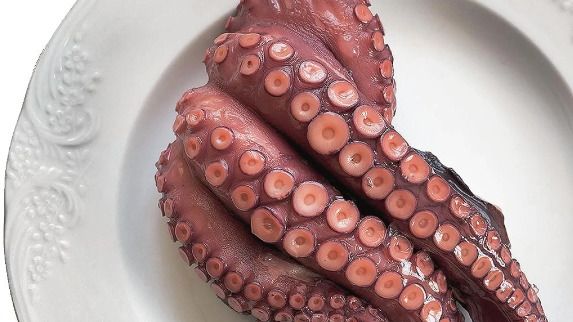 Uno de los cocineros experimentó lo que era meterse los tentáculos de un pulpo vivo en la boca. ¿El resultado? Le creó repulsión, aunque la imagen del producto fuera la misma