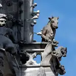 Varias gárgolas de la catedral de Notre Dame