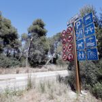 Imagen de la zona de pinar donde se han producido los hechos
