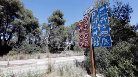 Imagen de la zona de pinar donde se han producido los hechos