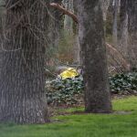 El suceso se ha producido sobre las 13:30 horas cuando el niño abandonaba el parque