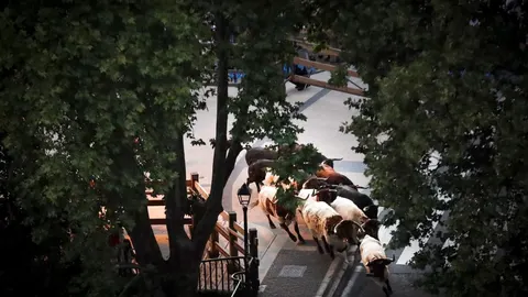 Imagen del encierrillo de Pamplona / EFE