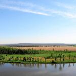 Barcolobo es un oasis en la meseta castellana, rodeado por el Duero por un lado y por el monte de encinas por el otro. Abajo, Amelia Rincón y Fernando Isidro Rincón