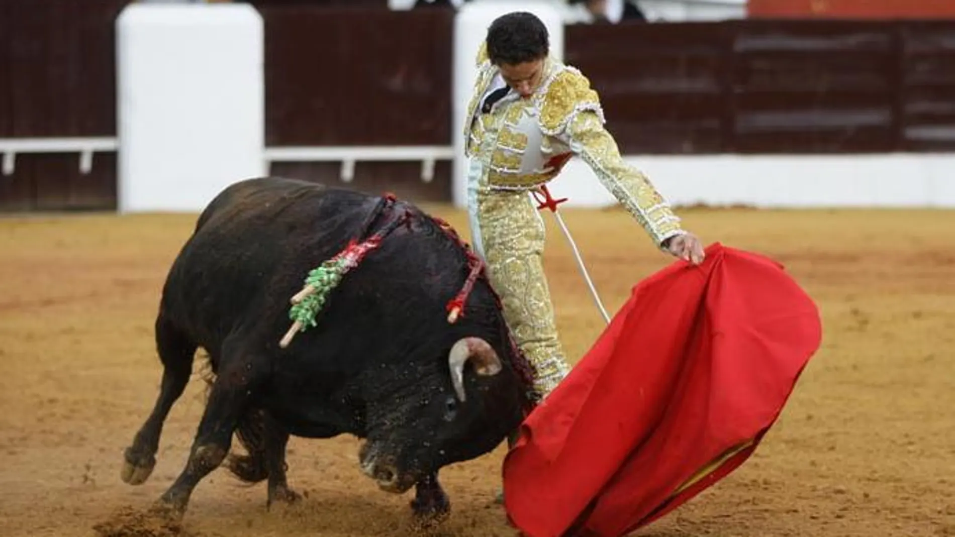 Posada de Maravillas consiguió cortar las orejas a su primer toro e indultar a su segundo el pasado domingo en Olivenza