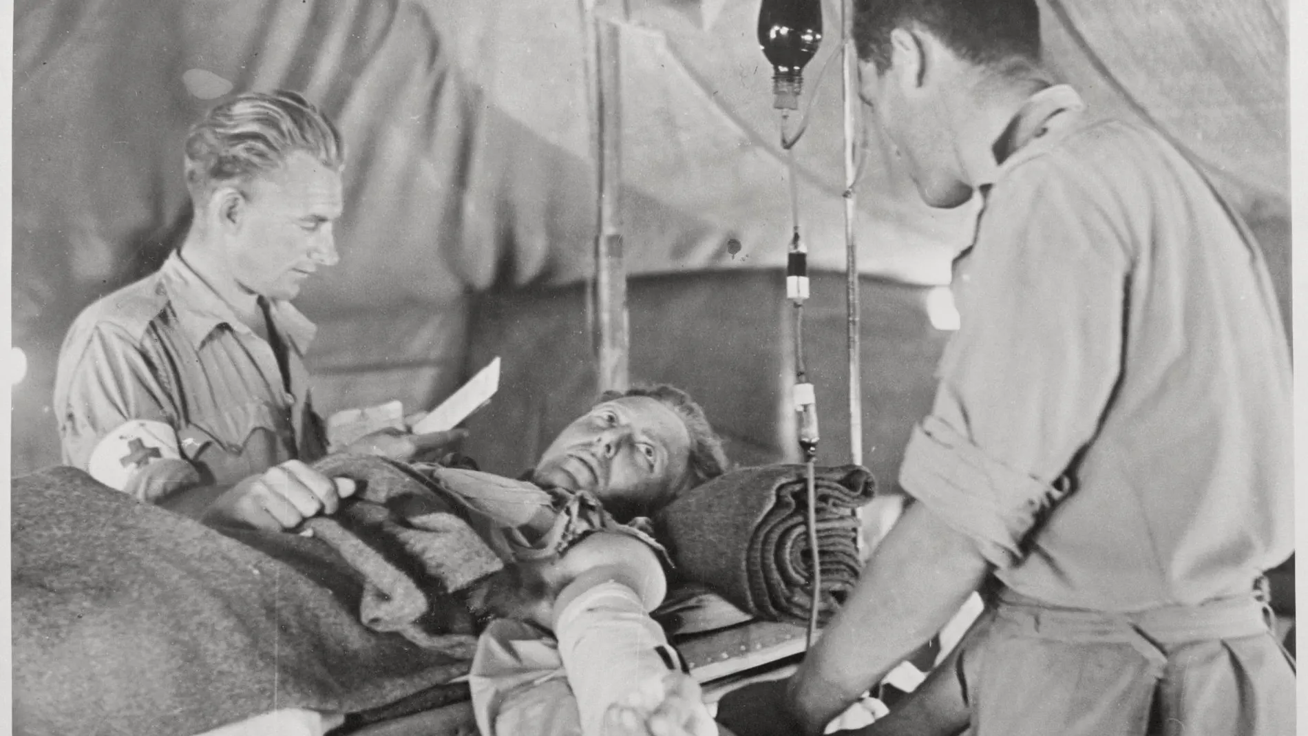 ¿Cómo influyeron las guerras en los primeros trasplantes de órganos?