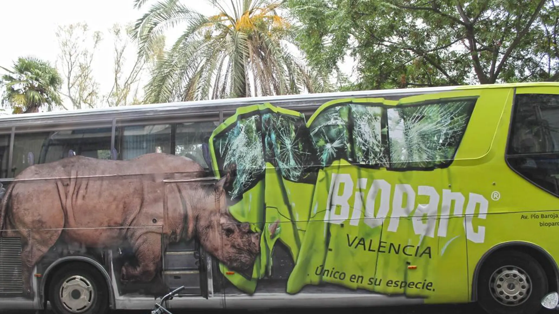 Autobús con diseño del Bioparc por el centro de Valencia