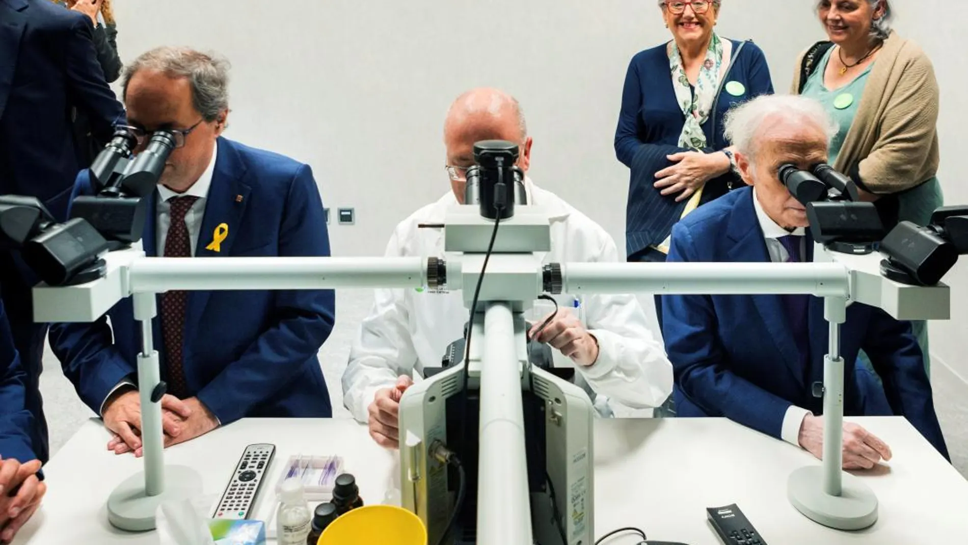 Josep Carreras y Quim Torra observan células junto al doctor Feliu: «Hasta ahora, ningún microscopio ha podido sustituir los ojos y el cerebro de un investigador» / Efe