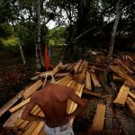 Los awás, uno de los más amenazados del planeta, intentan defender su territorio/Foto: Greenpeace