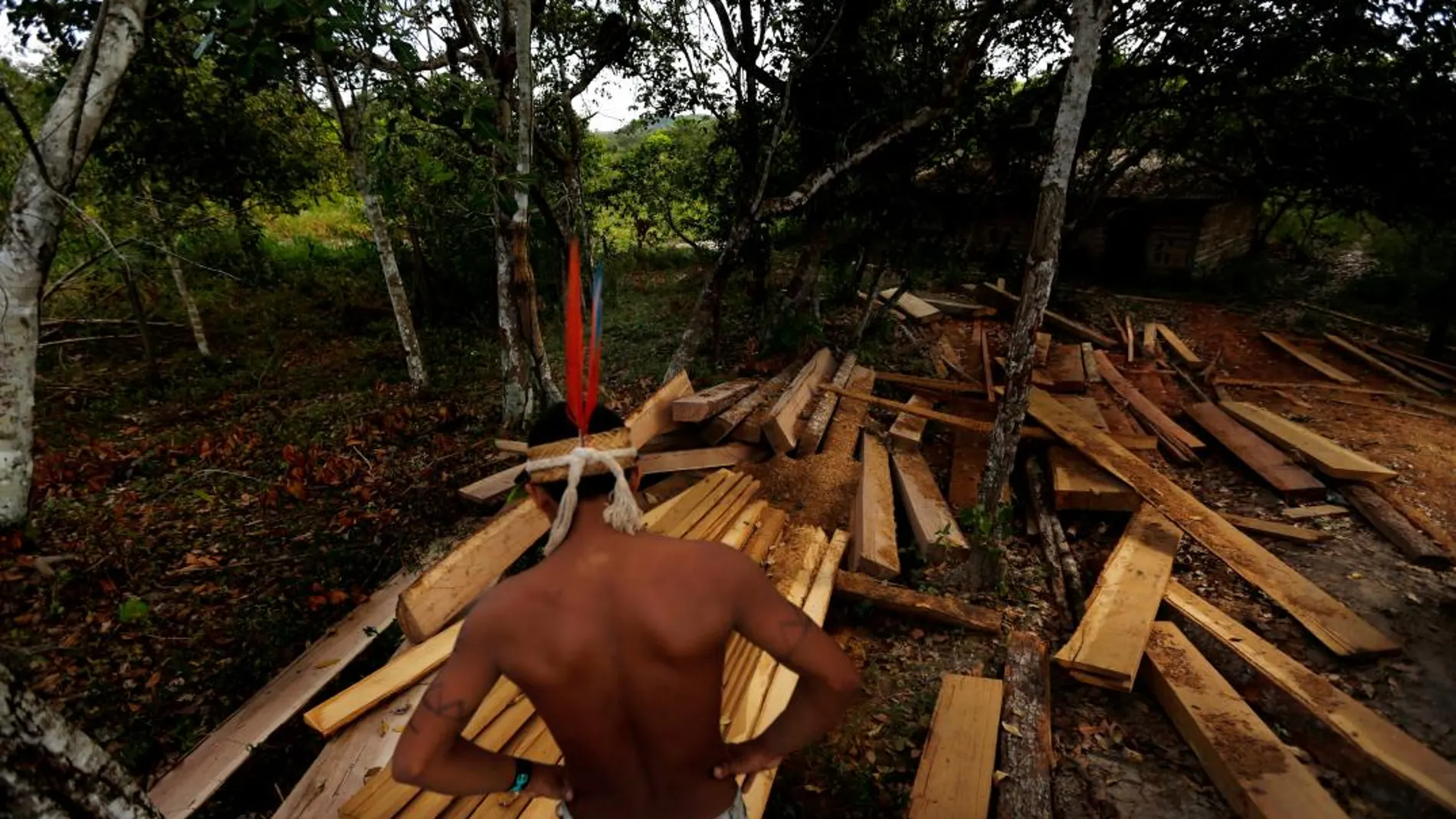 Los awás, uno de los más amenazados del planeta, intentan defender su territorio/Foto: Greenpeace