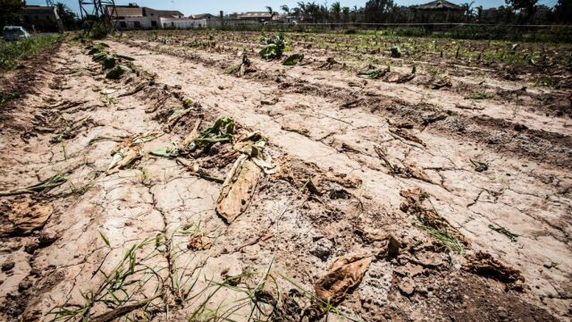 La sequía lastra el crecimiento económico de la región, según los empresarios murcianos