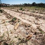 La sequía lastra el crecimiento económico de la región, según los empresarios murcianos