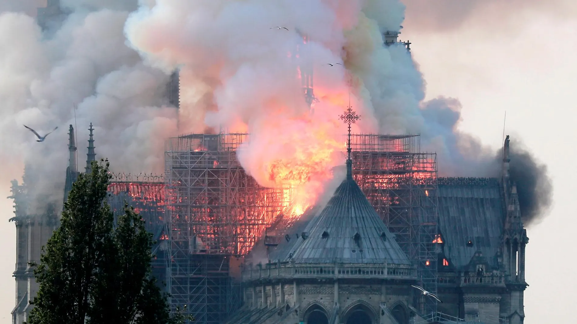 El techo de la catedral de Notre Dame totalmente devorado por las llamas