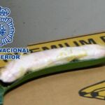 Los narcos fueron sorprendidos cuando descargaban el camión de platanos