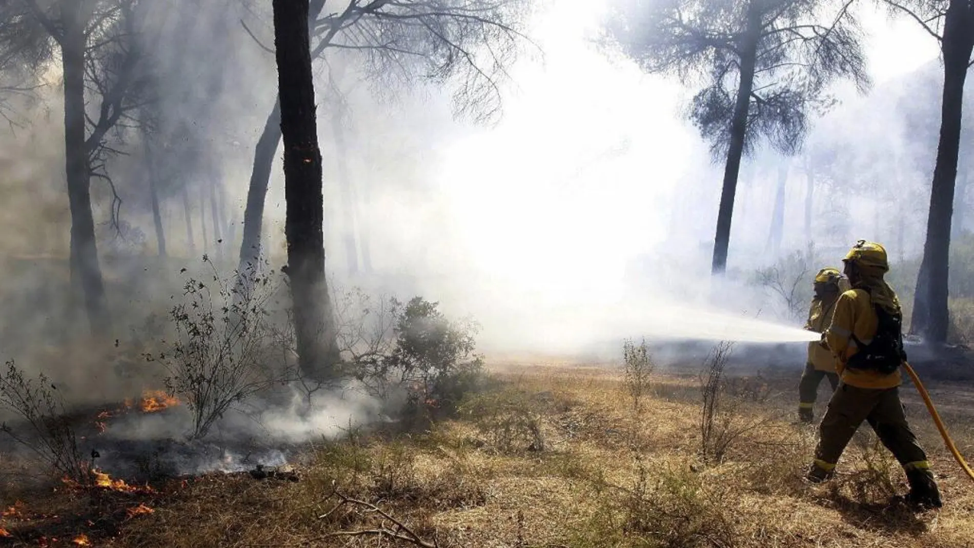 fectivos del INFOCA durante las labores de extinción del incendio iniciado esta tarde en el paraje Las Cumbres de Cartaya