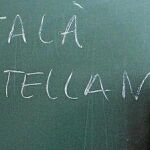 Desacato de Mas a la sentencia del TSJC sobre el castellano