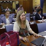 La diputada del Partido Popular Teresa Ruiz-Sillero, en la comisión de Empleo del Parlamento andaluz / Foto: Manuel Olmedo