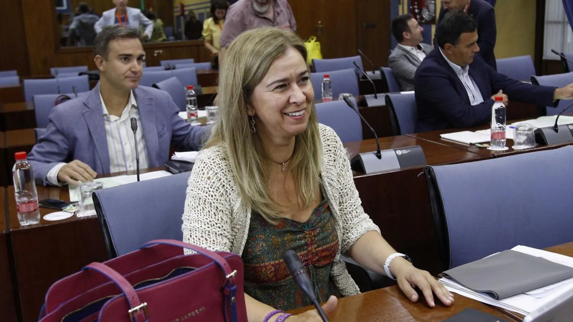 La diputada del Partido Popular Teresa Ruiz-Sillero, en la comisión de Empleo del Parlamento andaluz / Foto: Manuel Olmedo