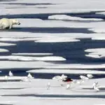  El deshielo altera el agua del Ártico central
