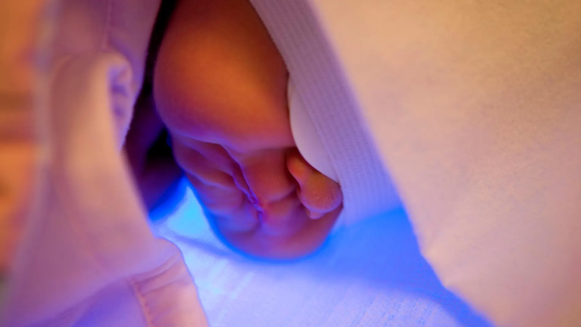 Un recién nacido duerme en la incubadora / Foto: Gtres