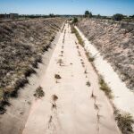 Las lluvias de finales del año pasado y principios de este no fueron suficientes para subir aumentar las reservas