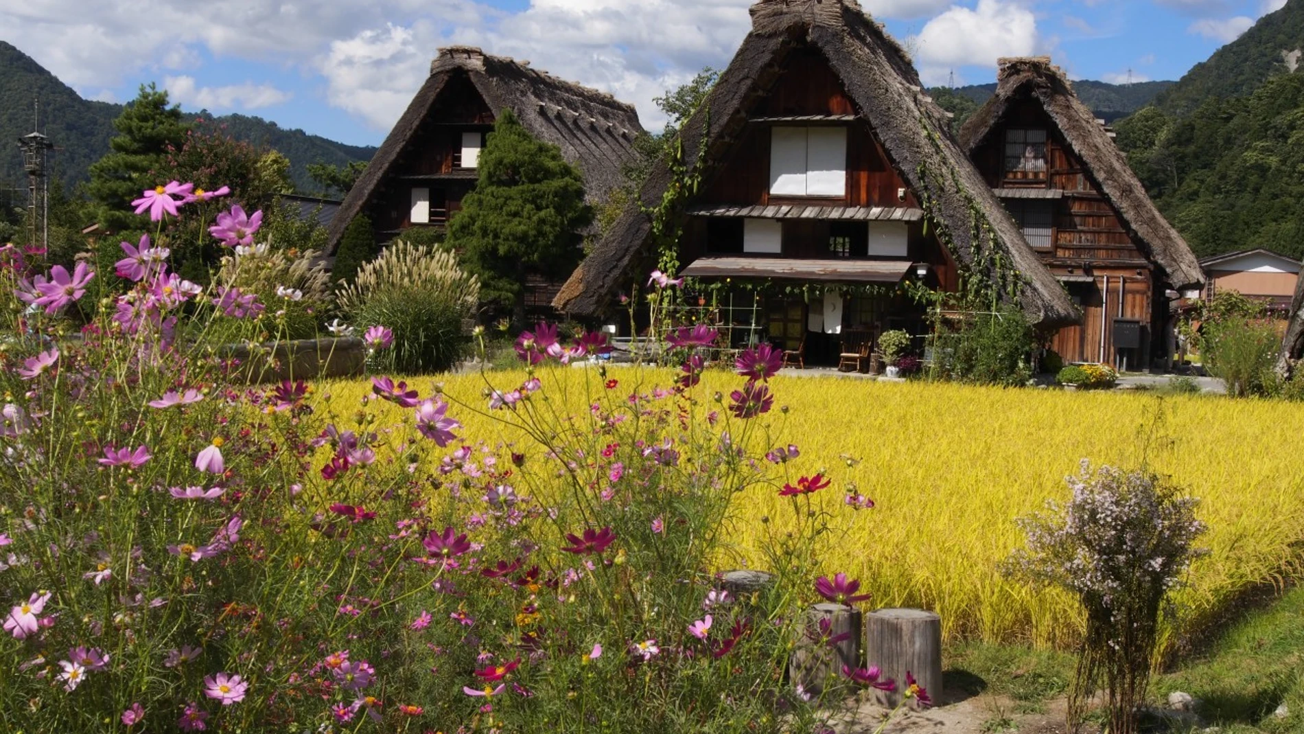 La aldea japonesa perfecta para 'instagramers' donde el tiempo se ha detenido