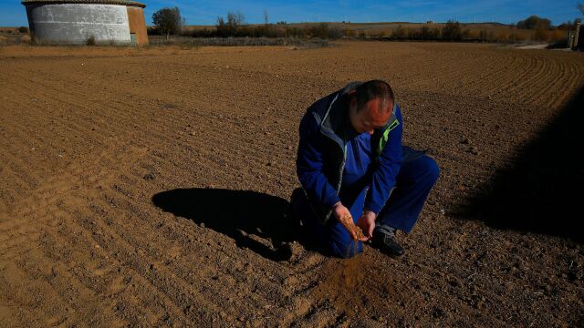 Un agricultor de la Tierra de Campos palentina