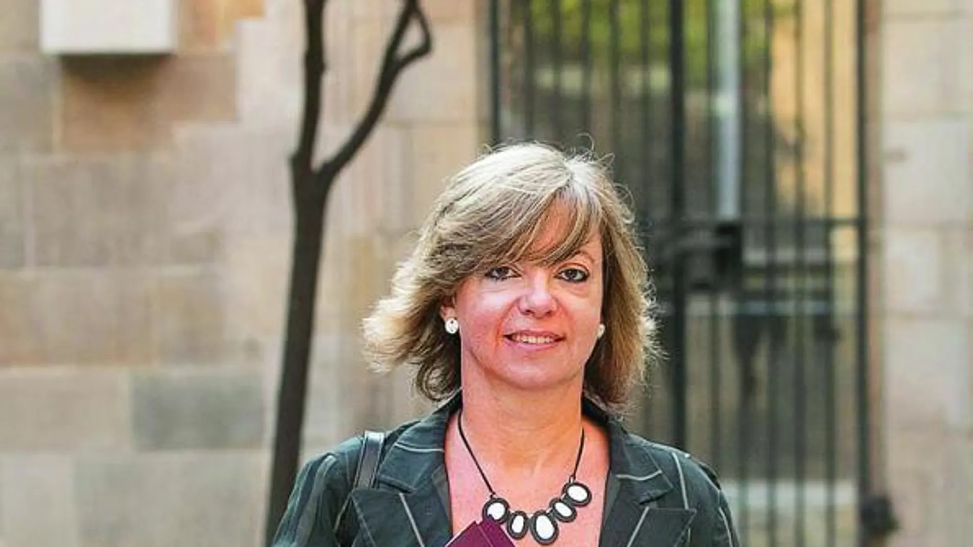 Meritxell Borràs fue la encargada de presentar el anteproyecto de ley